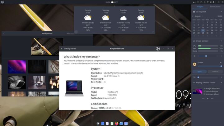 System Overview Information Panel
